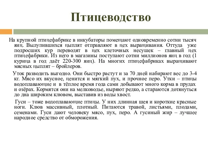 Птицеводство На крупной птицефабрике в инкубаторы помещают одновременно сотни тысяч яиц. Вылупившихся