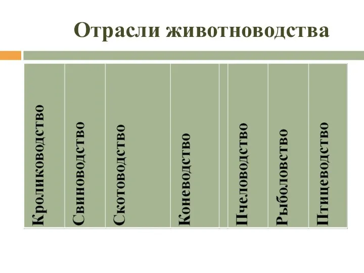 Отрасли животноводства