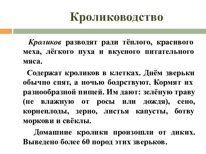 Кролиководство Кроликов разводят ради тёплого, красивого меха, лёгкого пуха и вкусного питательного