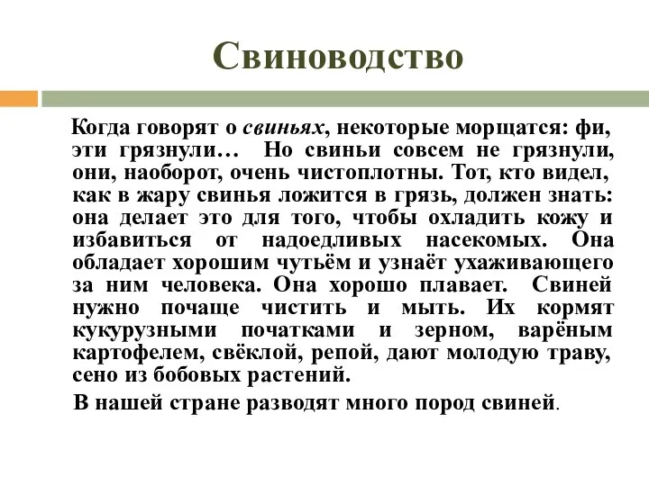 Свиноводство Когда говорят о свиньях, некоторые морщатся: фи, эти грязнули… Но свиньи