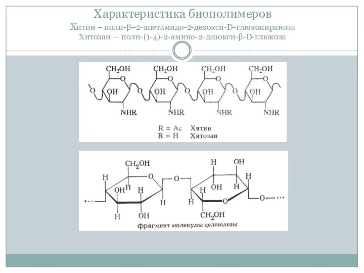 Характеристика биополимеров Хитин – поли-β–2-ацетамидо-2-дезокси-D-глюкопираноза Хитозан — поли-(1-4)-2-амино-2-дезокси-β-D-глюкоза