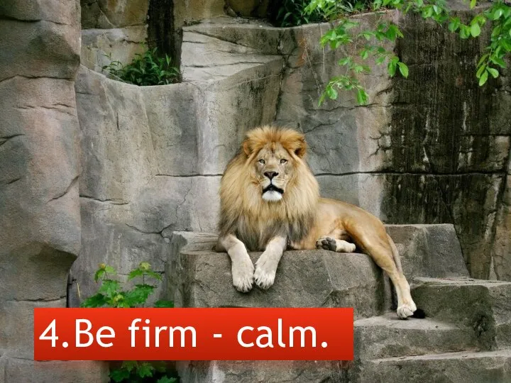 4.Be firm - calm.