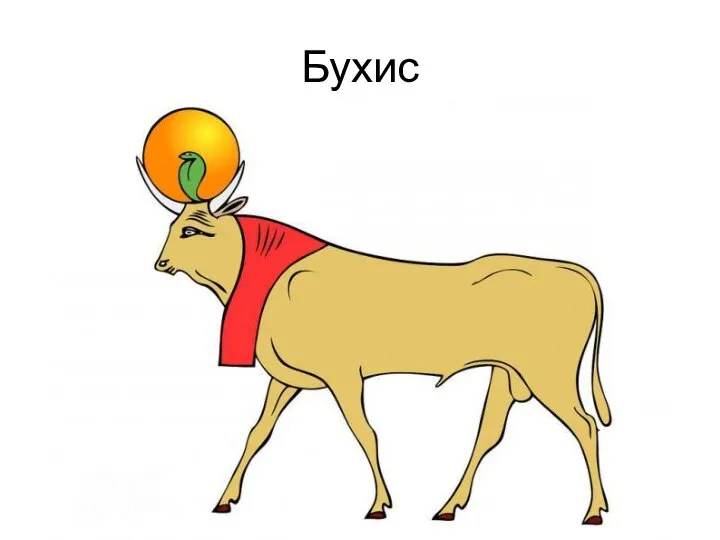 Бухис