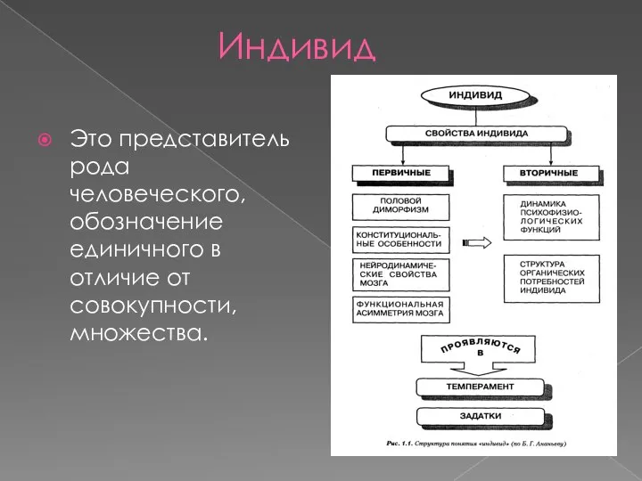 Индивид Это представитель рода человеческого, обозначение единичного в отличие от совокупности, множества.