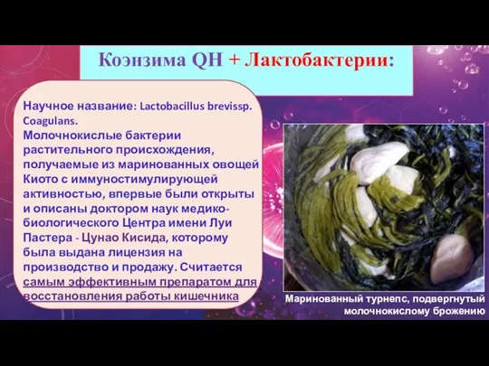 Коэнзима QН + Лактобактерии: Научное название: Lactobacillus brevissp. Coagulans. Молочнокислые бактерии растительного