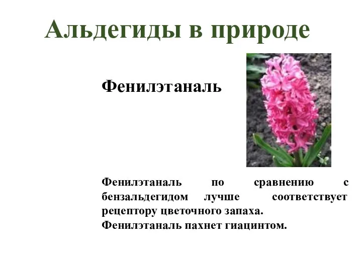 Фенилэтаналь Фенилэтаналь по сравнению с бензальдегидом лучше соответствует рецептору цветочного запаха. Фенилэтаналь