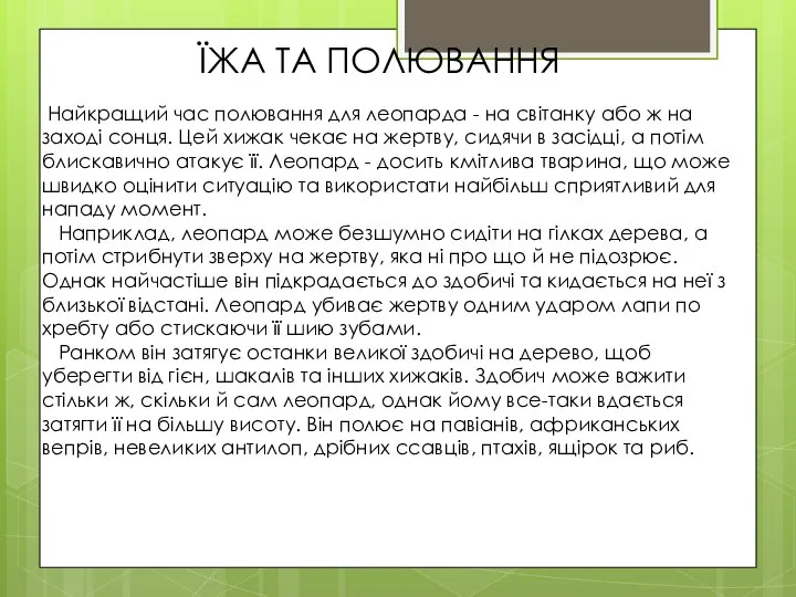 ЇЖА ТА ПОЛЮВАННЯ Найкращий час полювання для леопарда - на світанку або