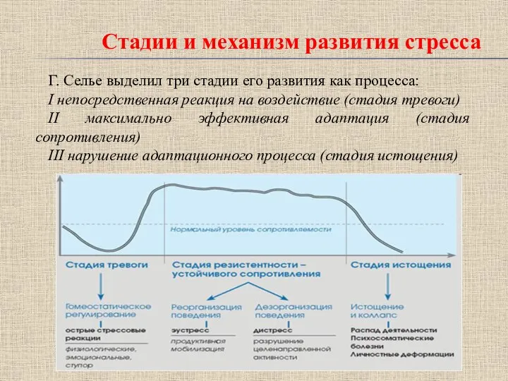 Стадии и механизм развития стресса Г. Селье выделил три стадии его развития