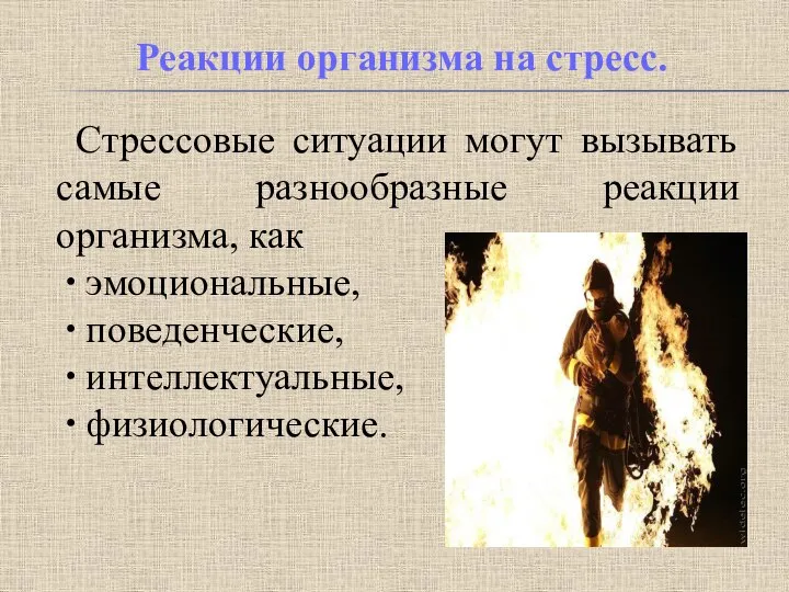 Реакции организма на стресс. Стрессовые ситуации могут вызывать самые разнообразные реакции организма,