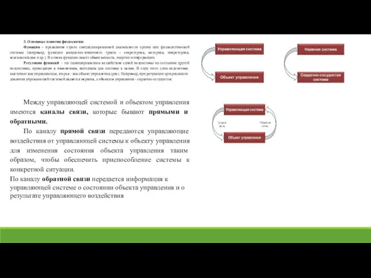 3. Основные понятия физиологии: Функция – проявление строго специализированной деятельности органа или