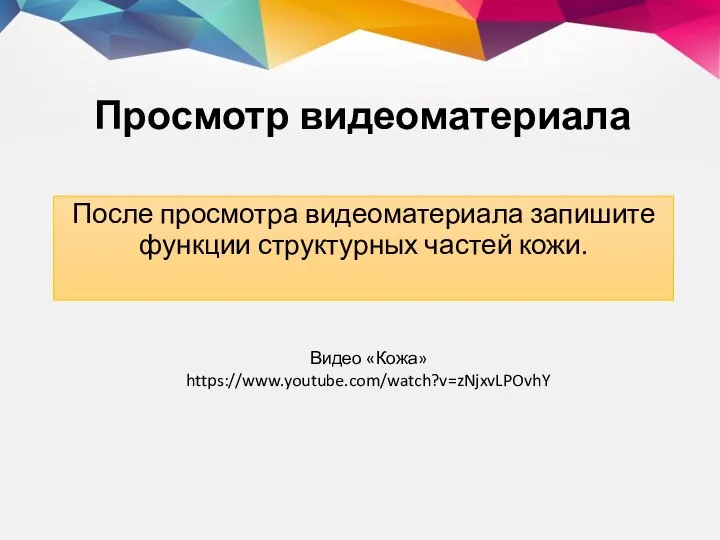 Просмотр видеоматериала После просмотра видеоматериала запишите функции структурных частей кожи. Видео «Кожа» https://www.youtube.com/watch?v=zNjxvLPOvhY