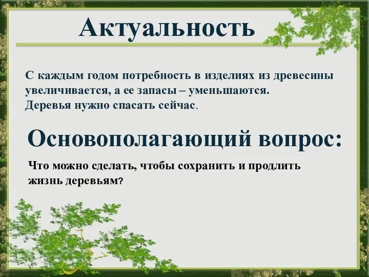 С каждым годом потребность в изделиях из древесины увеличивается, а ее запасы