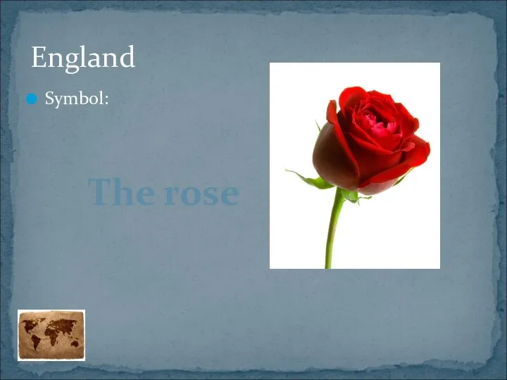 Symbol: England The rose