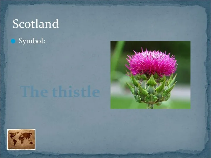 Symbol: Scotland The thistle