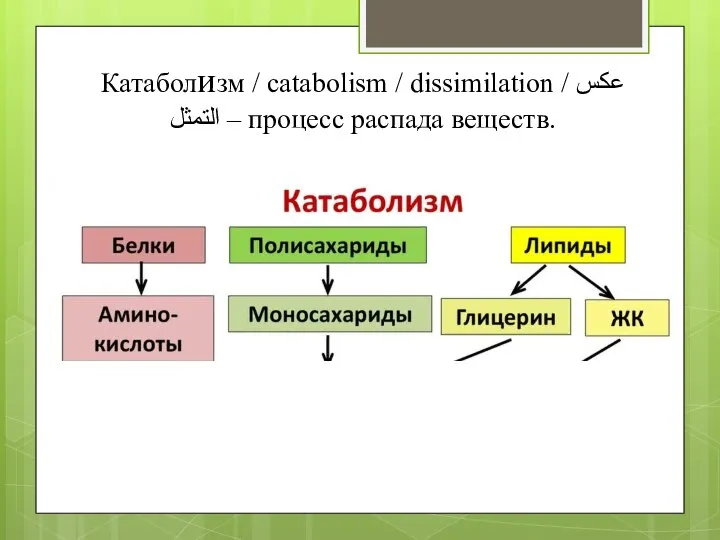 Катаболизм / catabolism / dissimilation / عكس التمثل – процесс распада веществ.