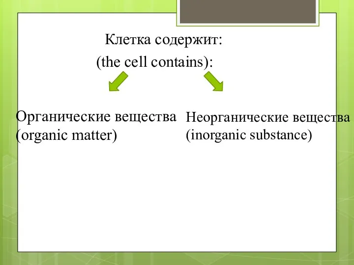 Клетка содержит: Органические вещества (organic matter) Неорганические вещества (inorganic substance) (the cell contains):