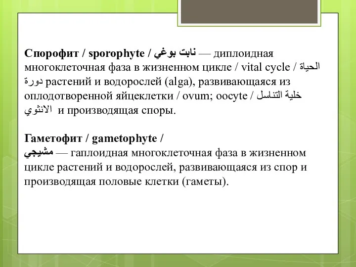 Спорофит / sporophyte / نابت بوغي — диплоидная многоклеточная фаза в жизненном
