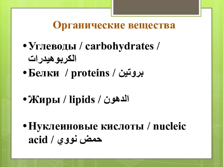 Органические вещества Углеводы / carbohydrates / الكربوهيدرات Белки / proteins / بروتين