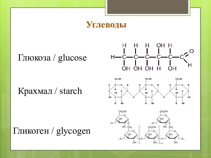 Углеводы Глюкоза / glucose Крахмал / starch Гликоген / glycogen