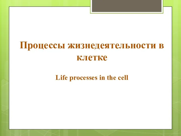 Процессы жизнедеятельности в клетке Life processes in the cell