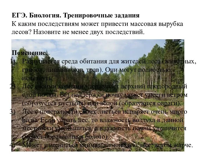 ЕГЭ. Биология. Тренировочные задания К каким последствиям может привести массовая вырубка лесов?