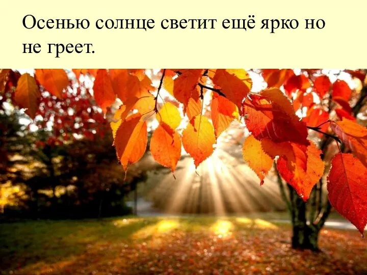 Осенью солнце светит ещё ярко но не греет.