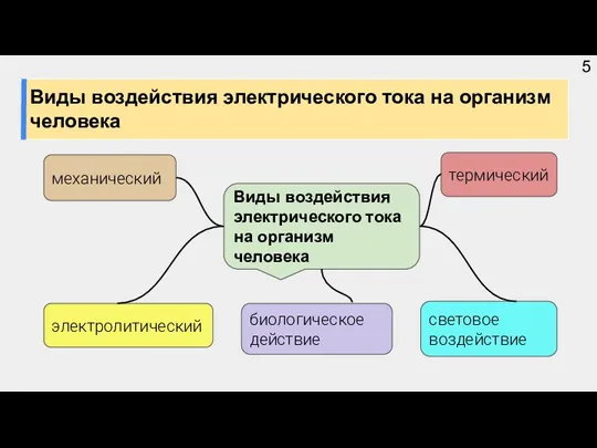 Виды воздействия электрического тока на организм человека термический механический электролитический биологическое действие световое воздействие