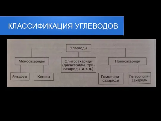 КЛАССИФИКАЦИЯ УГЛЕВОДОВ