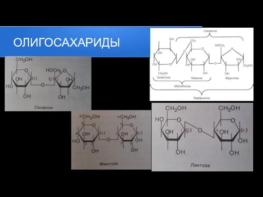 ОЛИГОСАХАРИДЫ