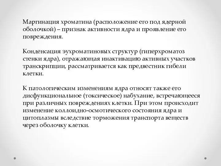 Маргинация хроматина (расположение его под ядерной оболочкой) – признак активности ядра и