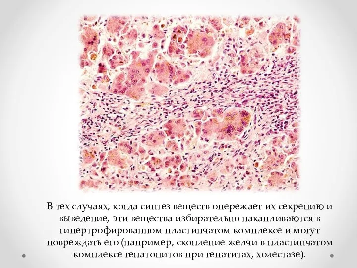 В тех случаях, когда синтез веществ опережает их секрецию и выведение, эти