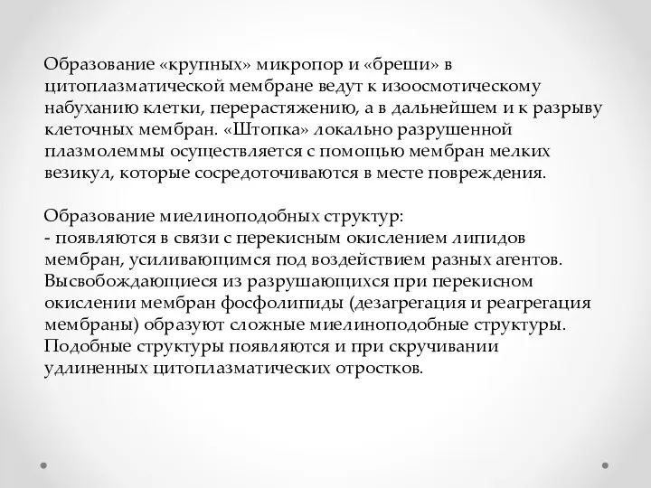 Образование «крупных» микропор и «бреши» в цитоплазматической мембране ведут к изоосмотическому набуханию