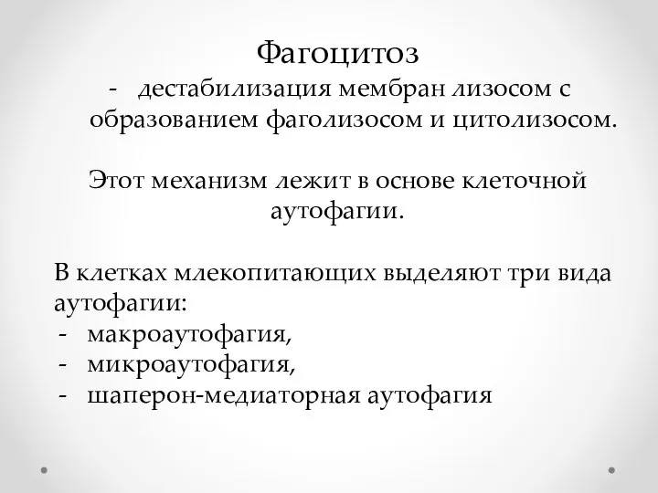 Фагоцитоз дестабилизация мембран лизосом с образованием фаголизосом и цитолизосом. Этот механизм лежит