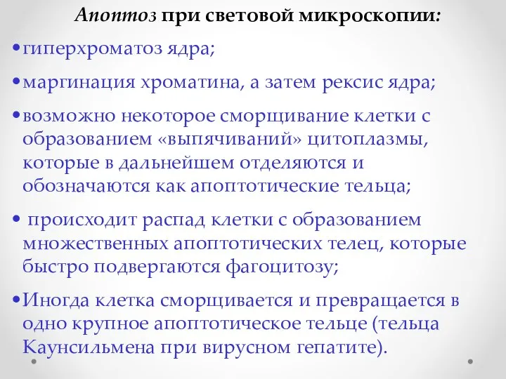 Апоптоз при световой микроскопии: гиперхроматоз ядра; маргинация хроматина, а затем рексис ядра;