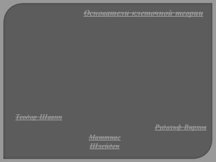 Основатели клеточной теории Теодор Шванн Маттиас Шлейден Рудольф Вирхов