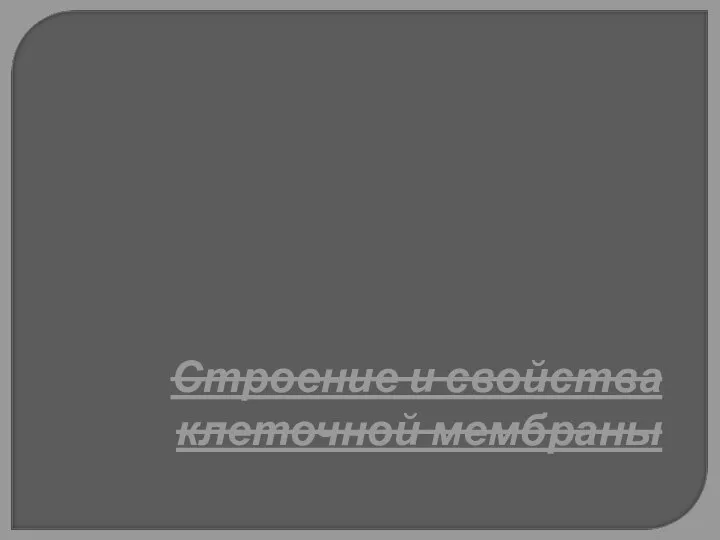 Строение и свойства клеточной мембраны
