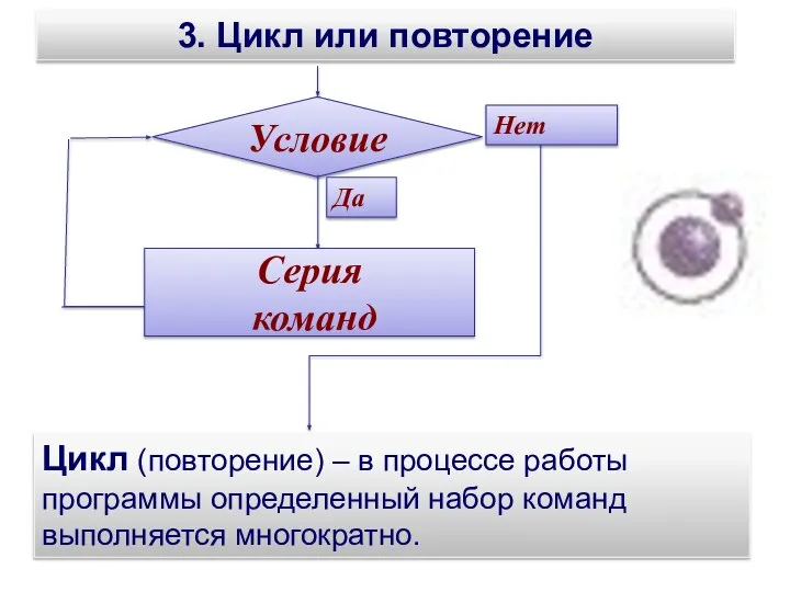 Цикл (повторение) – в процессе работы программы определенный набор команд выполняется многократно. 3. Цикл или повторение