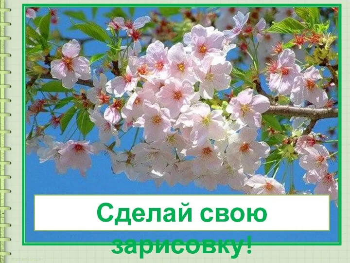 Сделай свою зарисовку!