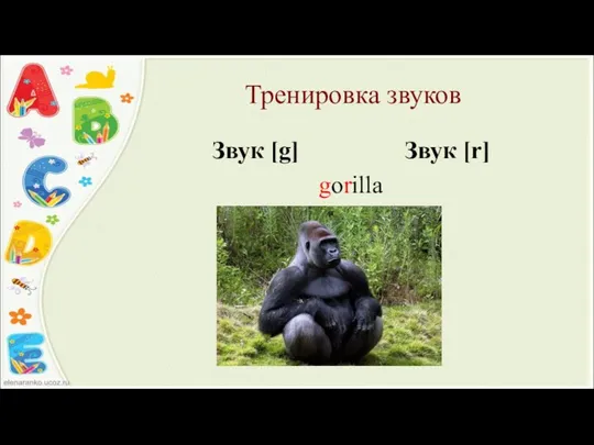 Тренировка звуков Звук [g] Звук [r] gorilla