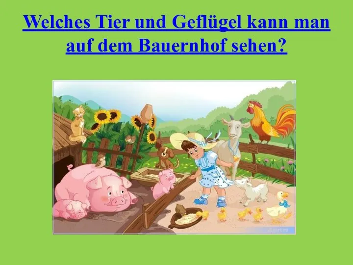 Welches Tier und Geflügel kann man auf dem Bauernhof sehen?