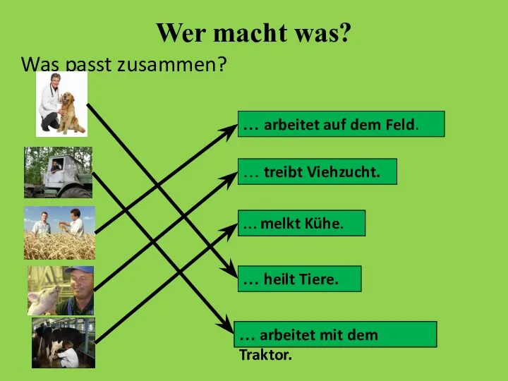 Wer macht was? Was passt zusammen? … melkt Kühe. … heilt Tiere.