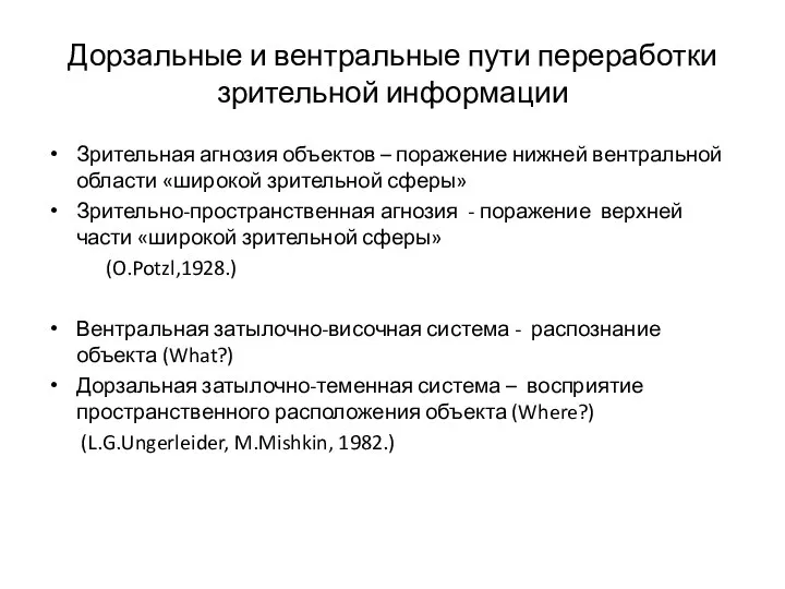 Дорзальные и вентральные пути переработки зрительной информации Зрительная агнозия объектов – поражение