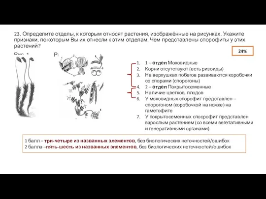 23. Определите отделы, к которым относят растения, изображённые на рисунках. Укажите признаки,