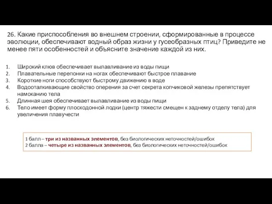 26. Какие приспособления во внешнем строении, сформированные в процессе эволюции, обеспечивают водный