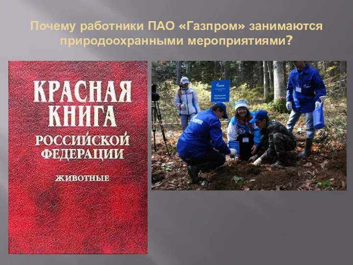 Почему работники ПАО «Газпром» занимаются природоохранными мероприятиями?