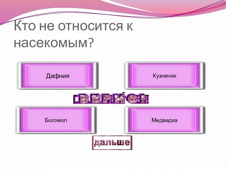 Кто не относится к насекомым? Дафния Богомол Кузнечик Медведка