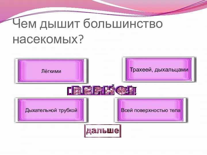 Чем дышит большинство насекомых? Трахеей, дыхальцами Дыхательной трубкой Лёгкими Всей поверхностью тела