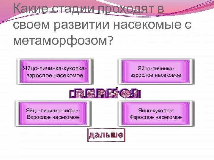 Какие стадии проходят в своем развитии насекомые с метаморфозом? Яйцо-личинка-куколка- взрослое насекомое