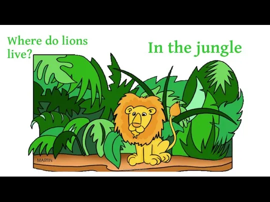 Where do lions live? In the jungle Samieh Pourlahiji