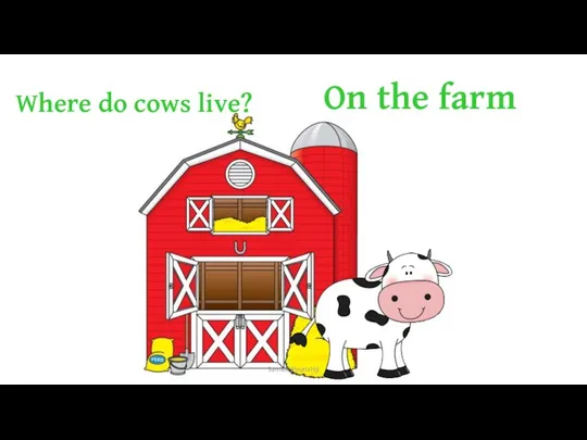 Where do cows live? On the farm Samieh Pourlahiji